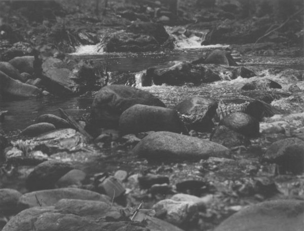 Trinity Alps